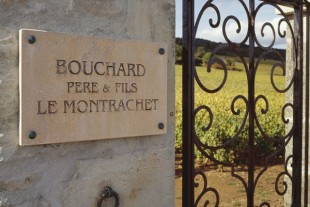 Bouchard own an impressive amount of the 1er and Grand cru sites in Burgundy